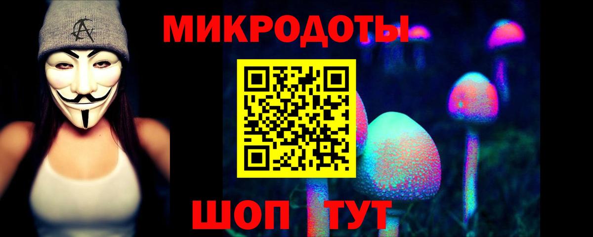 Псилоцибиновые грибы Psilocybine cubensis Верхняя Салда